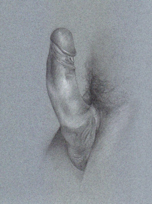 Penis Portrait 12